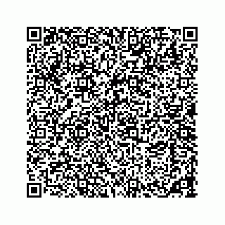 vCard 73533463121