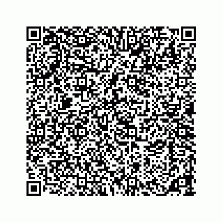 vCard 73533463127