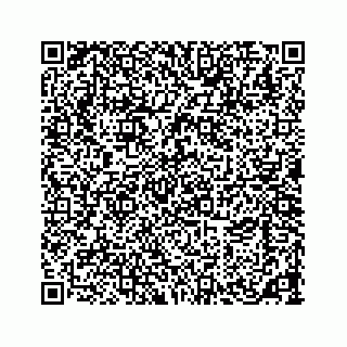 vCard 73533463132