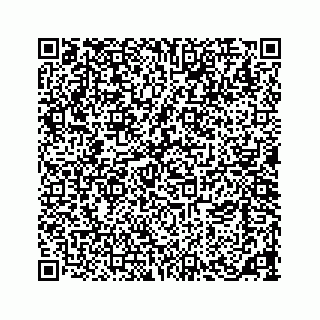 vCard 73533463134