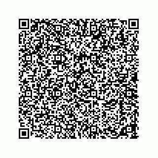 vCard 73533463138