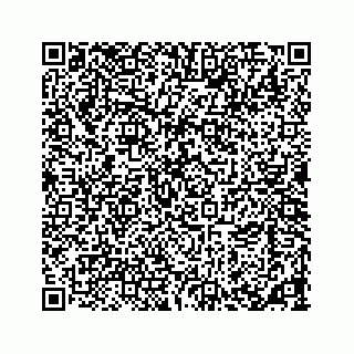 vCard 73533463155