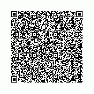 vCard 73533463168