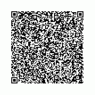 vCard 73533463187
