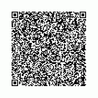 vCard 73533463198