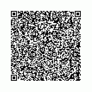 vCard 73533463199