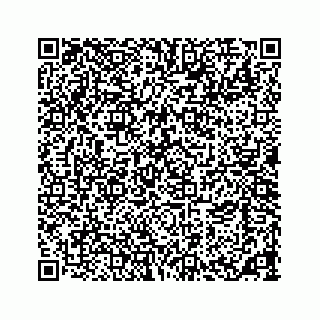 vCard 73533463205