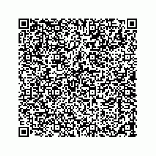 vCard 73533463206