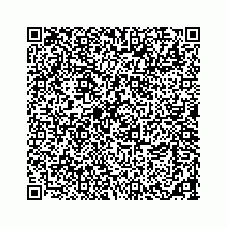 vCard 73533463207