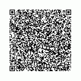 vCard 73533463208
