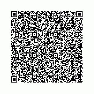 vCard 73533463211