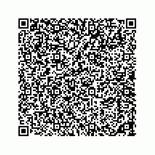 vCard 73533463217