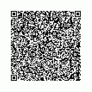 vCard 73533463221