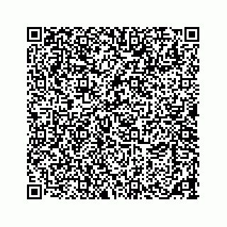 vCard 73533463238