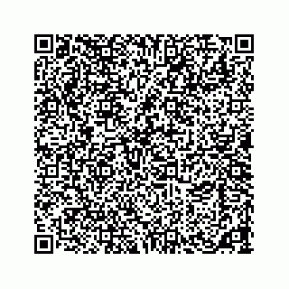 vCard 73533463239