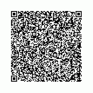 vCard 73533463245