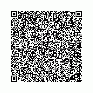 vCard 73533463250