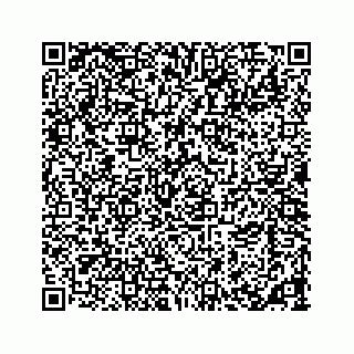 vCard 73533463255