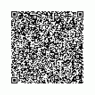 vCard 73533463266