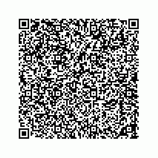 vCard 73533463289