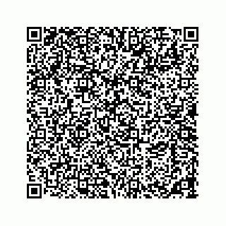 vCard 73533463291