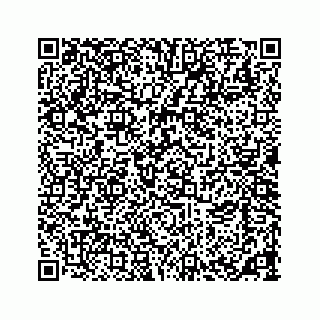 vCard 73533463292