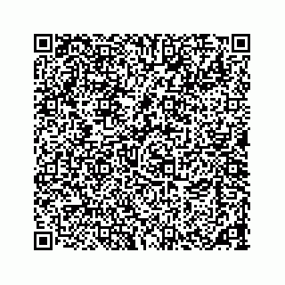 vCard 73533463295