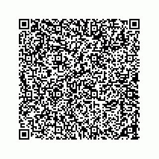 vCard 73533463296