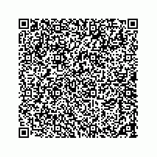vCard 73533463299