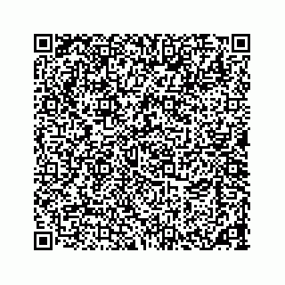 vCard 73533463301