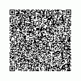 vCard 73533463302