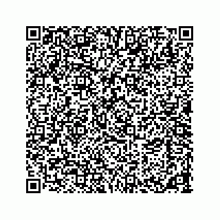 vCard 73533463304