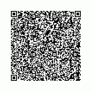 vCard 73533463307