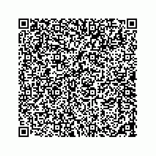 vCard 73533463311