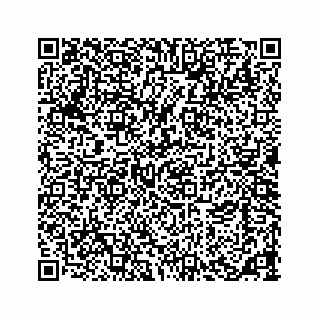 vCard 73533463315