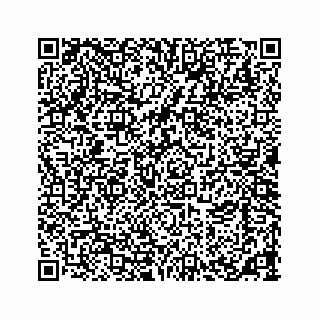 vCard 73533463316