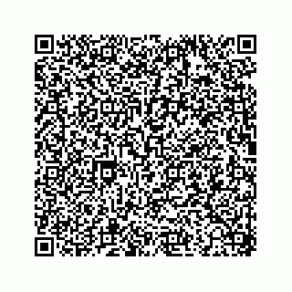 vCard 73533463317