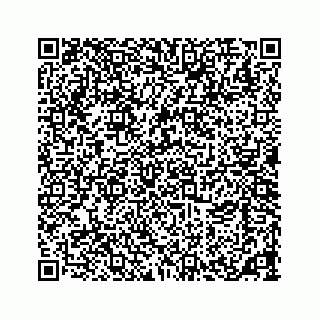 vCard 73533463318