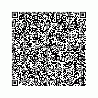 vCard 73533463319