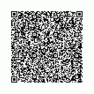 vCard 73533463324