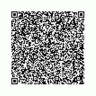 vCard 73533463325