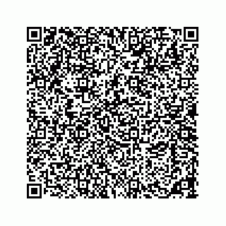 vCard 73533463326