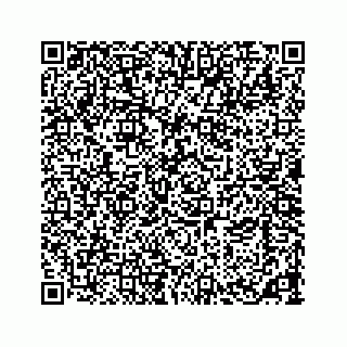 vCard 73533463327