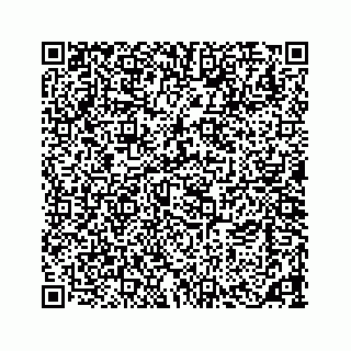 vCard 73533463328