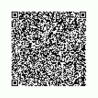 vCard 73533463331
