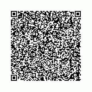 vCard 73533463333