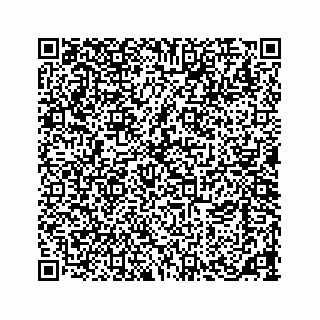 vCard 73533463334