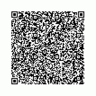 vCard 73533463341