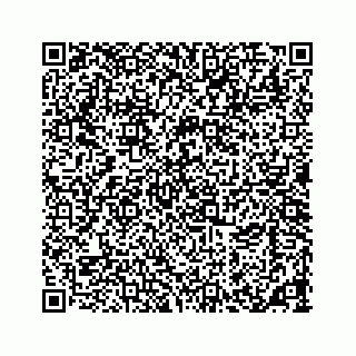 vCard 73533463353