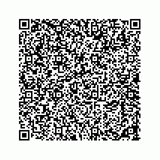 vCard 73533463370